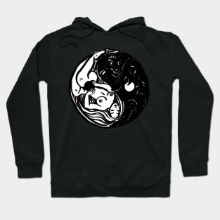 Balance Hoodie